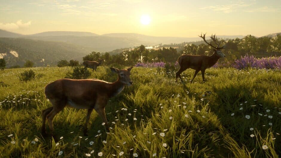 Скриншот 6 из TheHunter: Call of the Wild - Cuatro Colinas Game Reserve