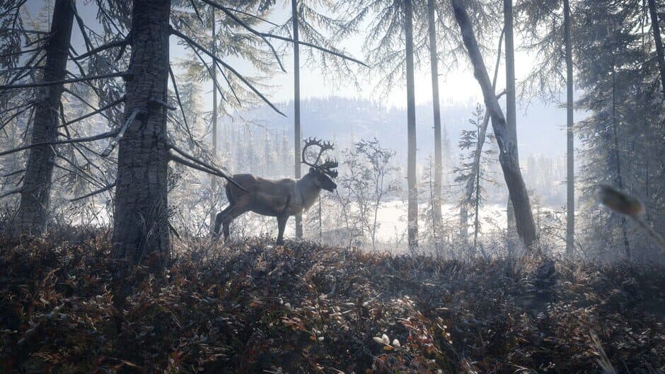 Скриншот 4 из TheHunter: Call of the Wild - Medved-Taiga