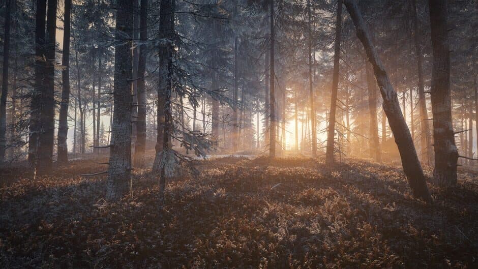 Скриншот 2 из TheHunter: Call of the Wild - Medved-Taiga
