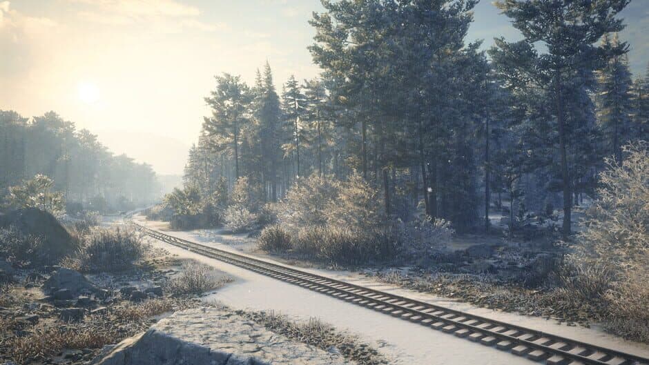 Скриншот 3 из TheHunter: Call of the Wild - Medved-Taiga