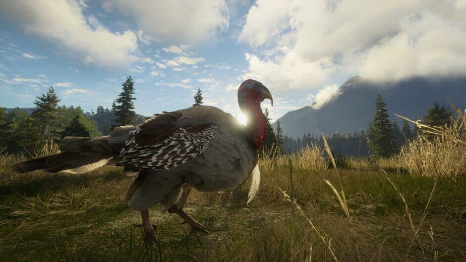 Скриншот 3 из TheHunter: Call of the Wild - Silver Ridge Peaks