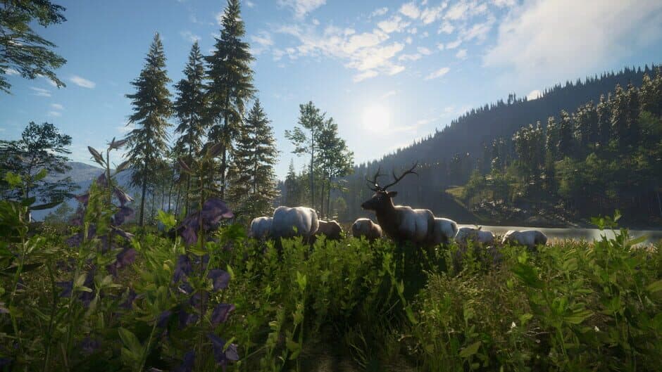 Скриншот 4 из TheHunter: Call of the Wild - Silver Ridge Peaks