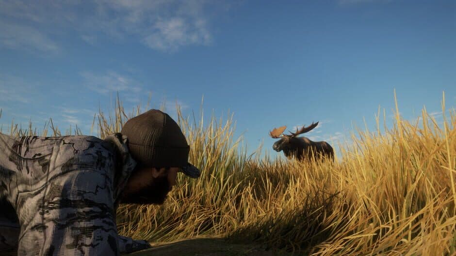 Скриншот 4 из TheHunter: Call of the Wild - Remi Warren
