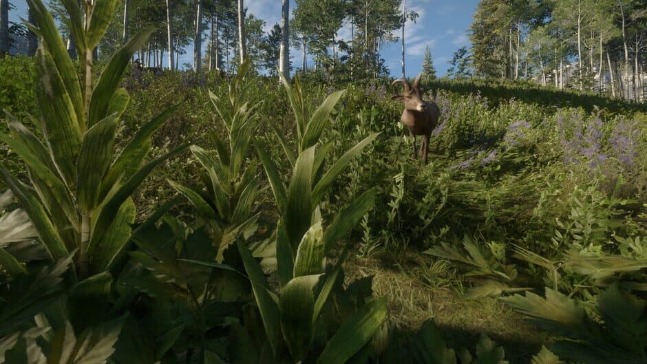 Скриншот 6 из TheHunter: Call of the Wild - Silver Ridge Peaks