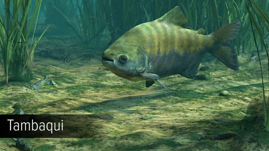 Скриншот 8 из Ultimate Fishing Simulator: Amazon River