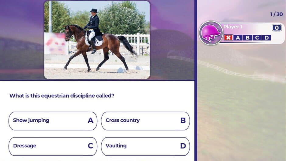 Скриншот 1 из Equestrian Training