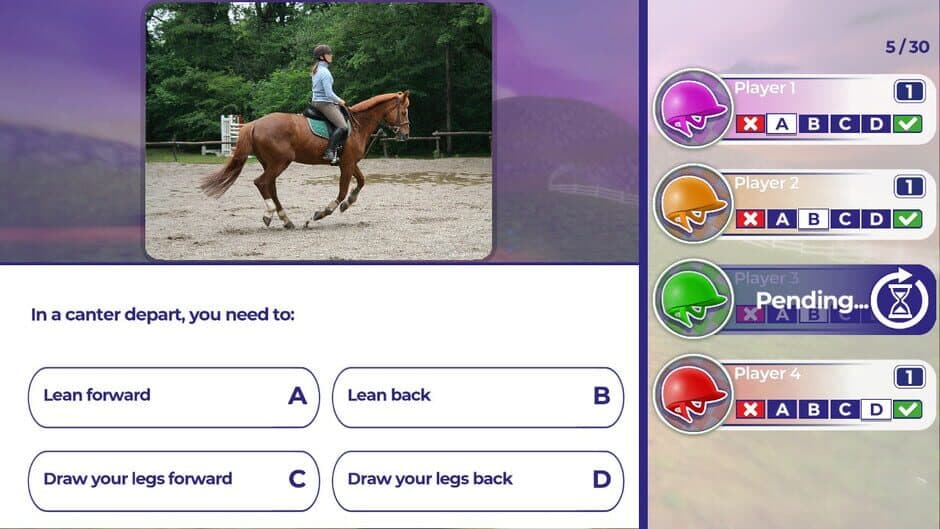 Скриншот 2 из Equestrian Training