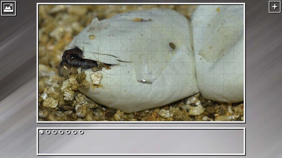 Скриншот 3 из Super Jigsaw Puzzle: Generations - Snakes Puzzles