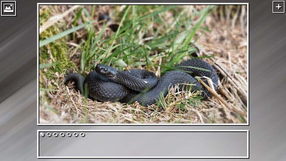 Скриншот 7 из Super Jigsaw Puzzle: Generations - Snakes Puzzles