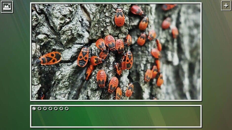 Скриншот 7 из Super Jigsaw Puzzle: Generations - Bugs Puzzles