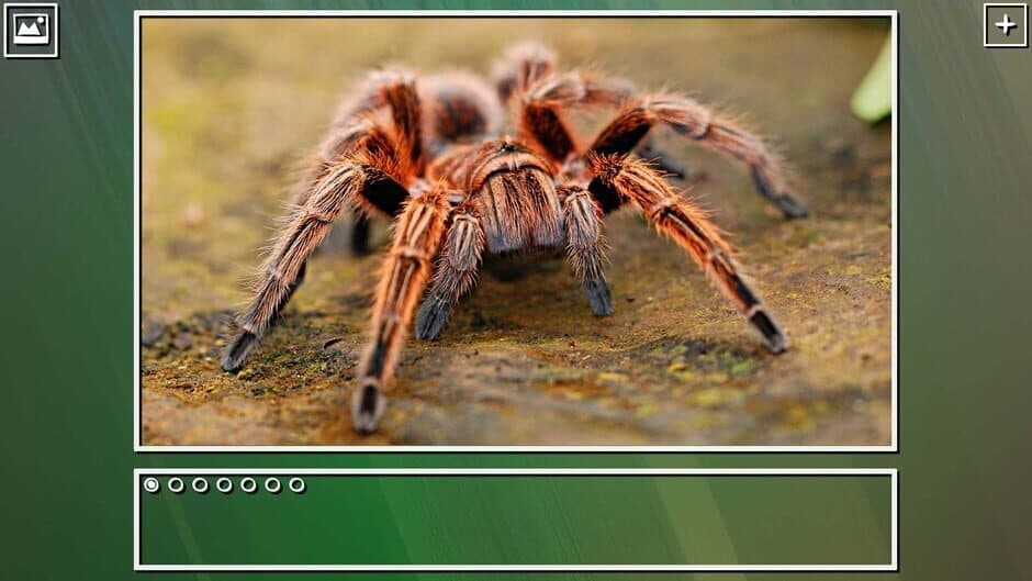 Скриншот 8 из Super Jigsaw Puzzle: Generations - Bugs Puzzles