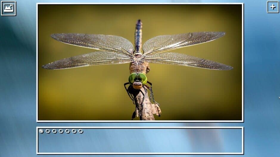 Скриншот 11 из Super Jigsaw Puzzle: Generations - Bugs Puzzles