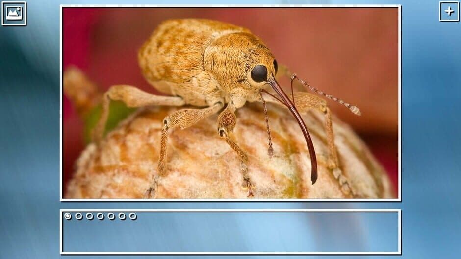 Скриншот 12 из Super Jigsaw Puzzle: Generations - Bugs Puzzles