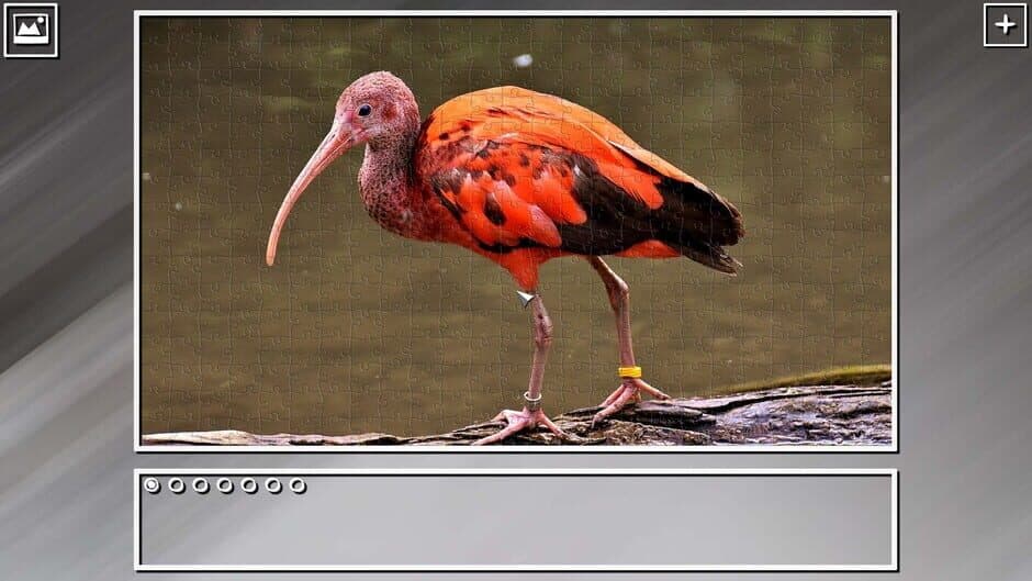 Скриншот 12 из Super Jigsaw Puzzle: Generations - Random Animals Puzzles