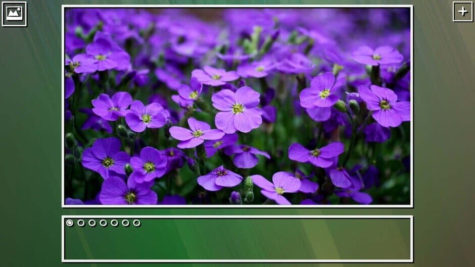 Скриншот 6 из Super Jigsaw Puzzle: Generations - Flowers Puzzles