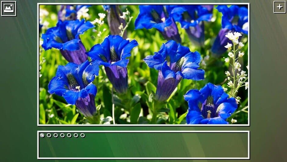 Скриншот 7 из Super Jigsaw Puzzle: Generations - Flowers Puzzles
