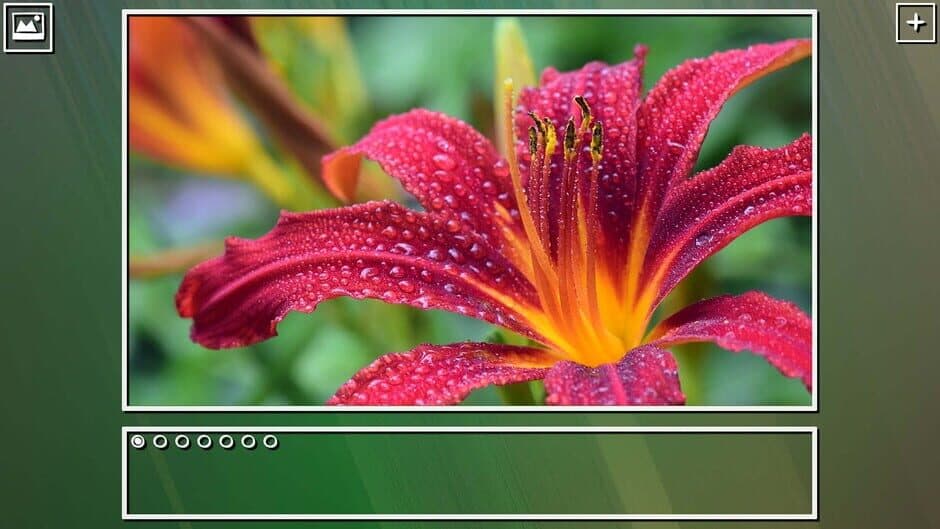 Скриншот 9 из Super Jigsaw Puzzle: Generations - Flowers Puzzles