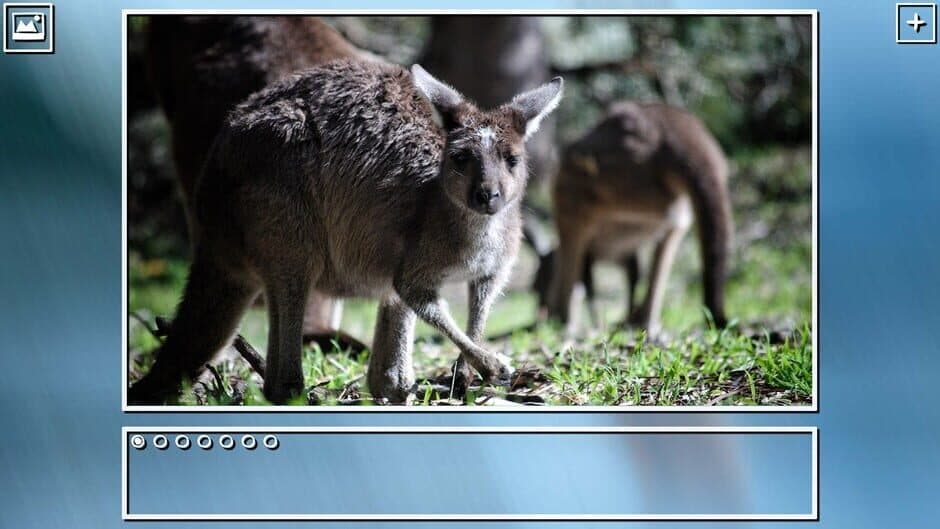 Скриншот 8 из Super Jigsaw Puzzle: Generations - Australia Puzzles