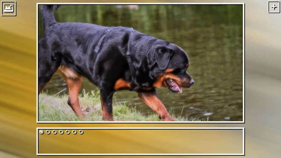 Скриншот 2 из Super Jigsaw Puzzle: Generations - Dogs Puzzles