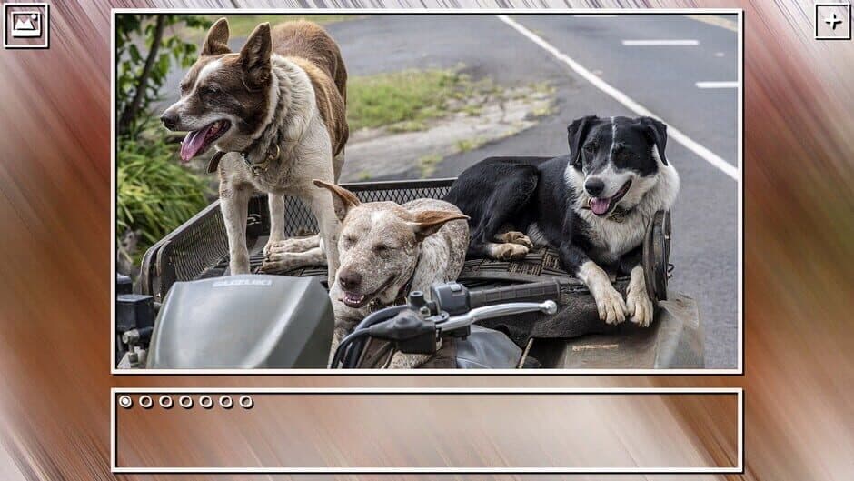 Скриншот 4 из Super Jigsaw Puzzle: Generations - Dogs Puzzles