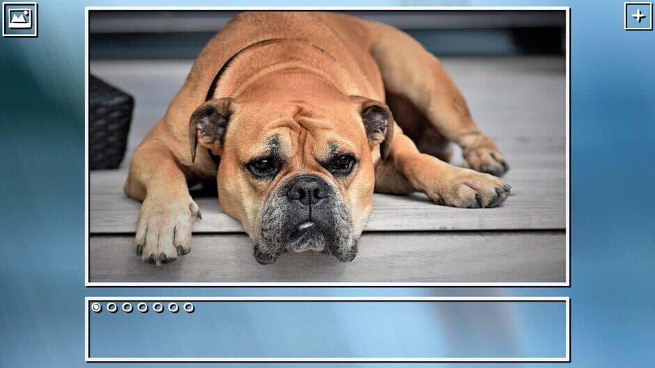 Скриншот 7 из Super Jigsaw Puzzle: Generations - Dogs Puzzles