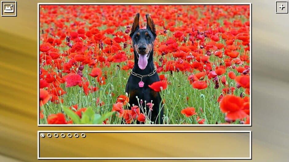 Скриншот 8 из Super Jigsaw Puzzle: Generations - Dogs Puzzles