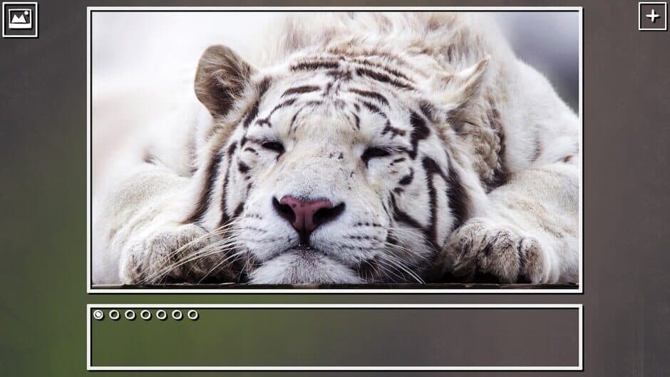 Скриншот 5 из Super Jigsaw Puzzle: Generations - Big Cats Puzzles