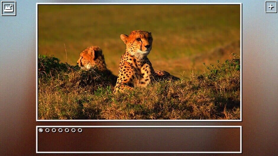 Скриншот 7 из Super Jigsaw Puzzle: Generations - Big Cats Puzzles