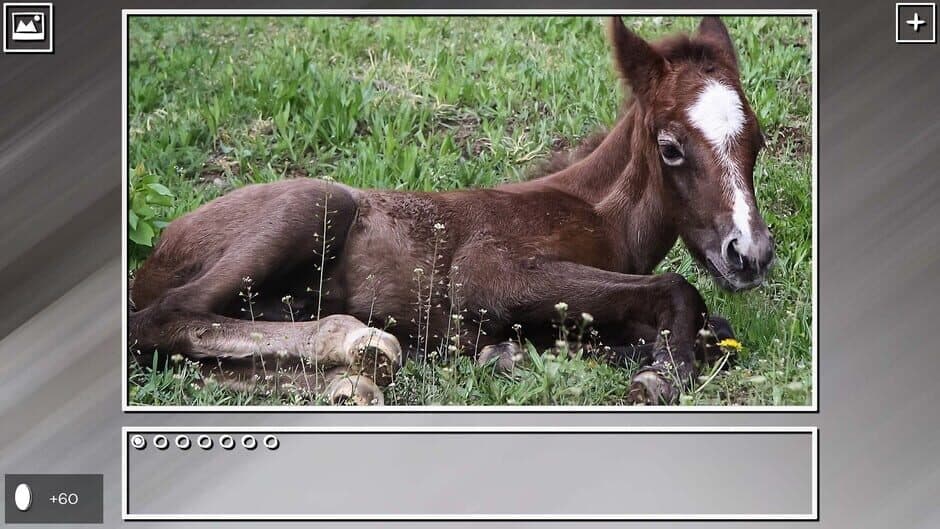 Скриншот 4 из Super Jigsaw Puzzle: Generations - Horses Puzzles