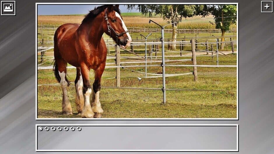 Скриншот 1 из Super Jigsaw Puzzle: Generations - Horses Puzzles