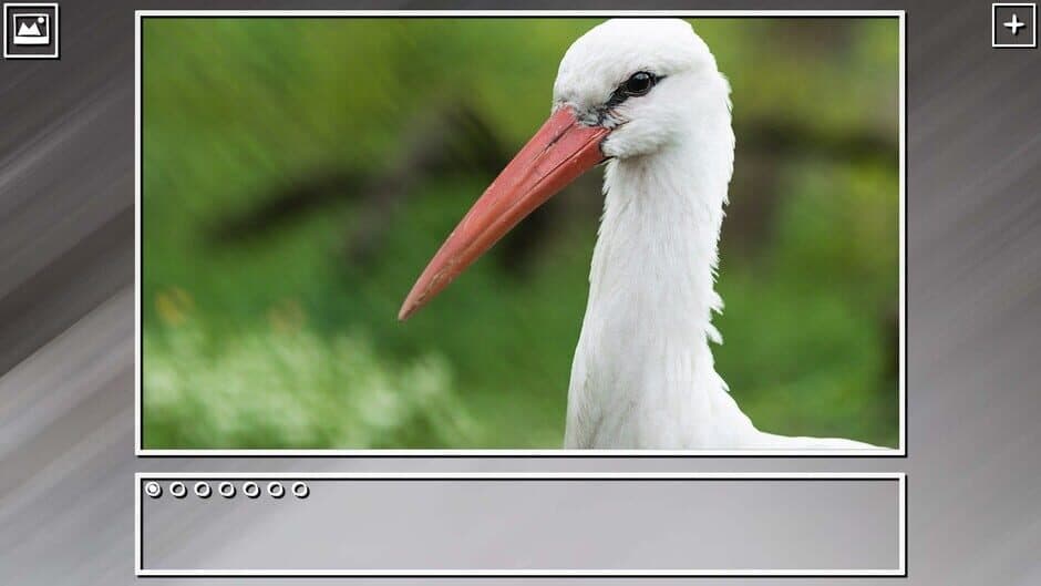 Скриншот 2 из Super Jigsaw Puzzle: Generations - Birds Puzzles