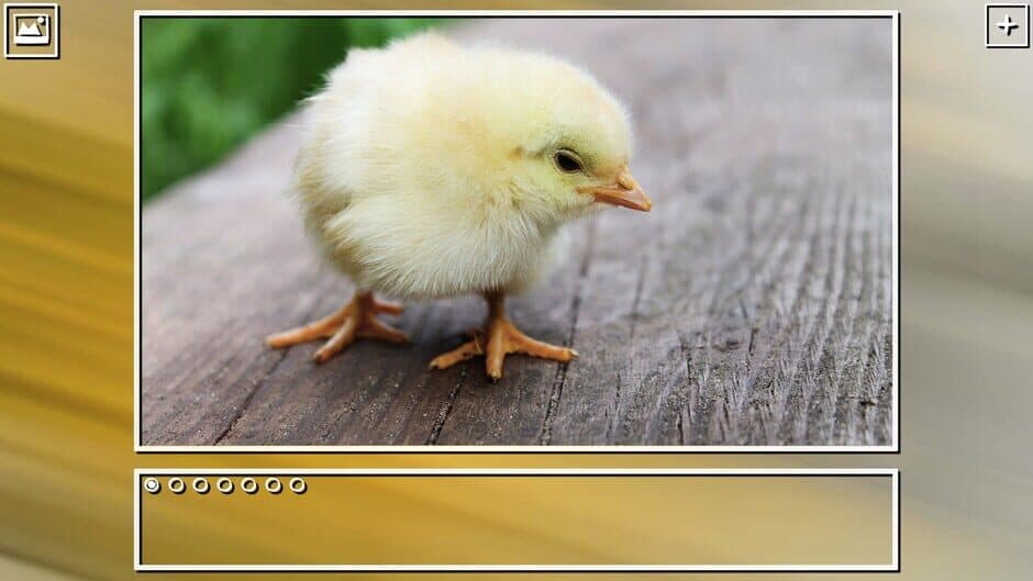 Скриншот 3 из Super Jigsaw Puzzle: Generations - Birds Puzzles