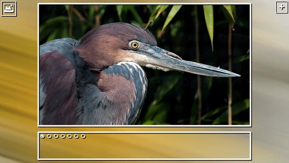 Скриншот 4 из Super Jigsaw Puzzle: Generations - Birds Puzzles
