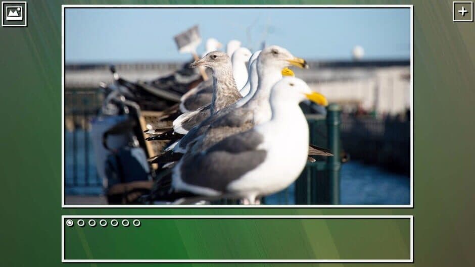 Скриншот 5 из Super Jigsaw Puzzle: Generations - Birds Puzzles