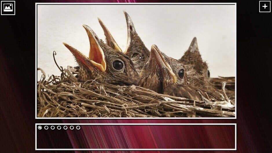 Скриншот 7 из Super Jigsaw Puzzle: Generations - Birds Puzzles