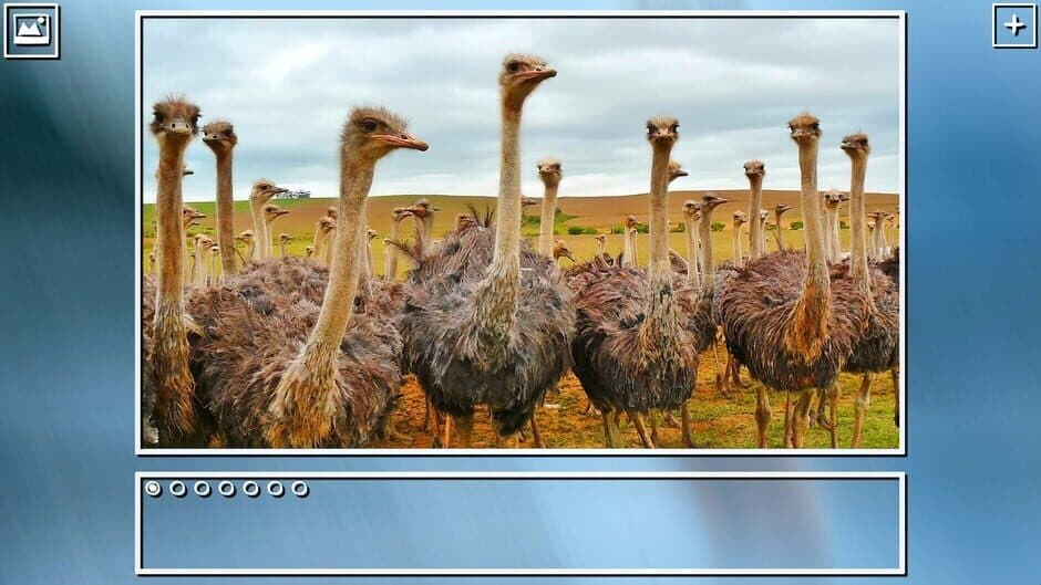 Скриншот 8 из Super Jigsaw Puzzle: Generations - Birds Puzzles