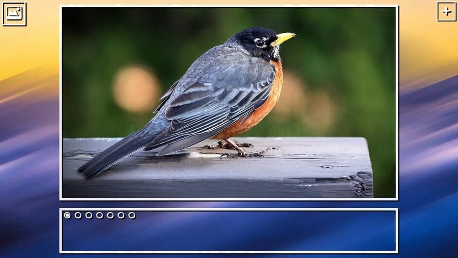 Скриншот 11 из Super Jigsaw Puzzle: Generations - Birds Puzzles