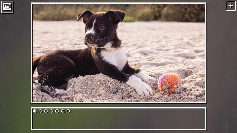 Скриншот 1 из Super Jigsaw Puzzle: Generations - Puppies Puzzles