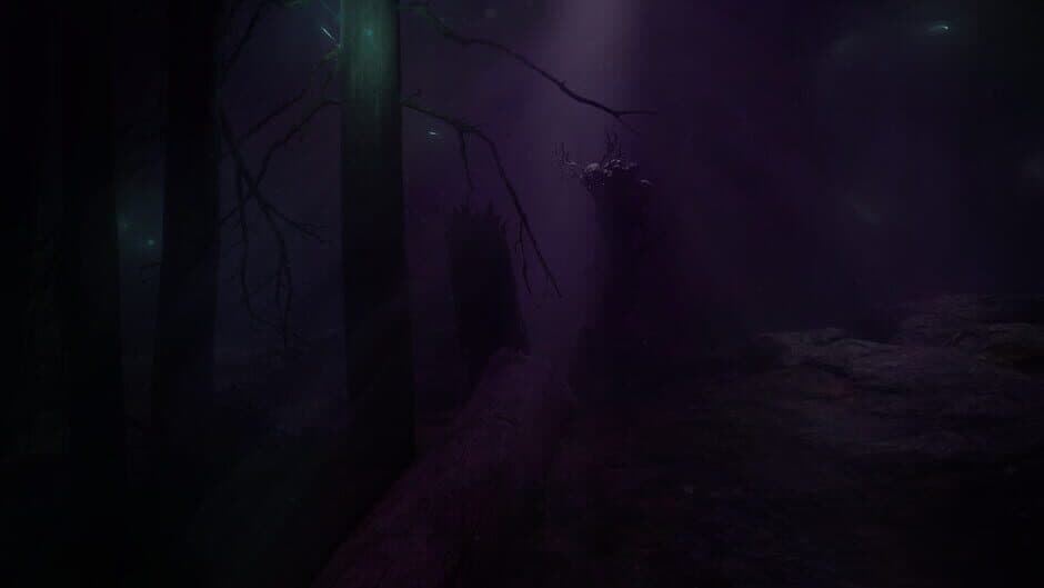 Скриншот 4 из Finsterwald