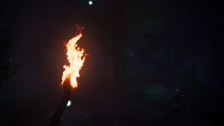 Скриншот 5 из Finsterwald