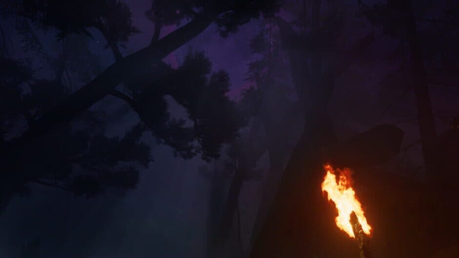Скриншот 2 из Finsterwald