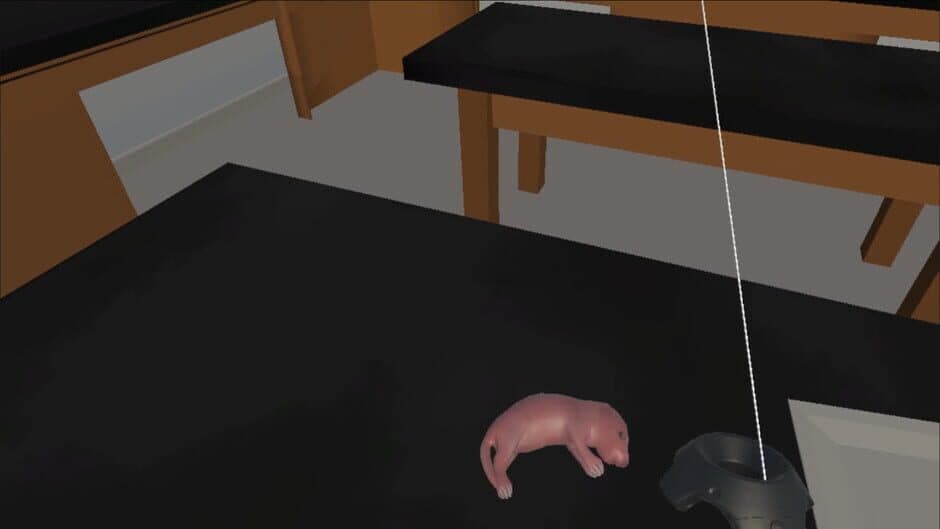 Скриншот 4 из Training Lab