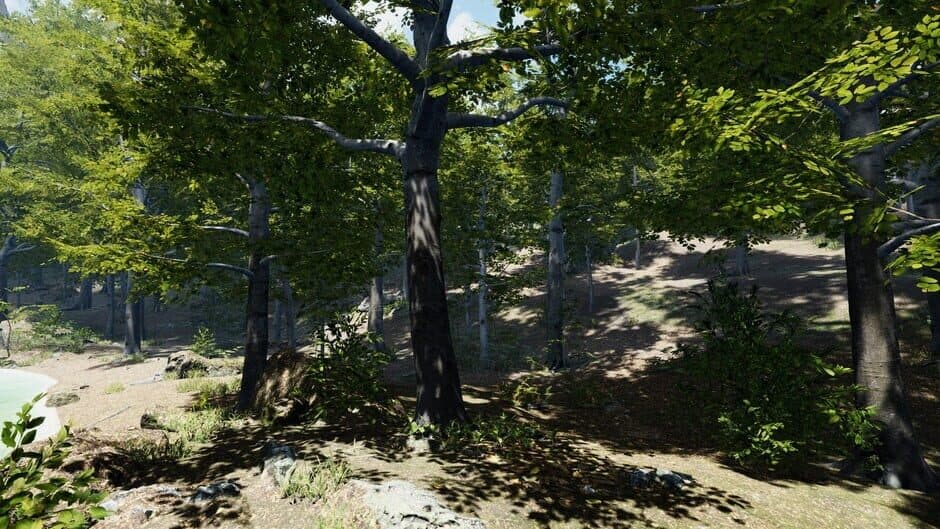 Скриншот 7 из Secrets of a Campfire