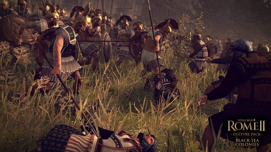 Скриншот 3 из Total War: Rome II - Culture Pack: Black Seas Colonies