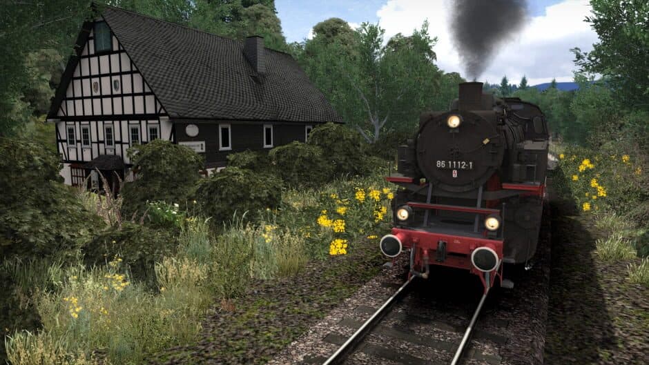 Скриншот 3 из Train Simulator 2021: Wutachtalbahn - Lauchringen: Immendingen Route