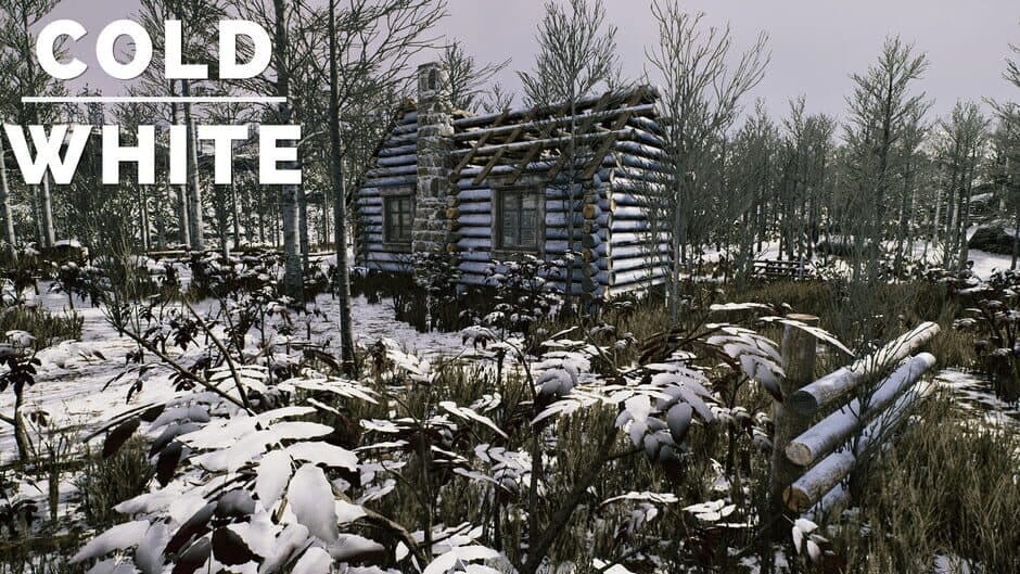 Скриншот 2 из The Cold White