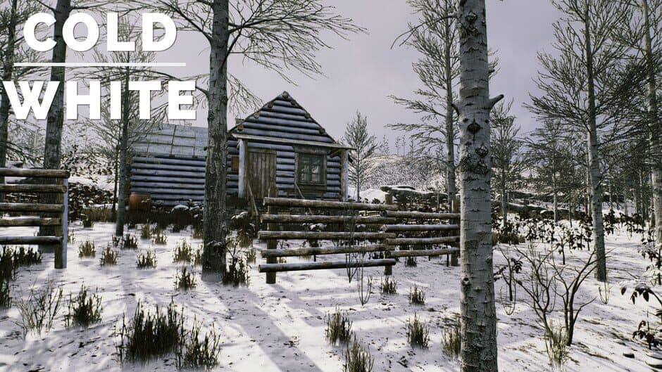 Скриншот 5 из The Cold White