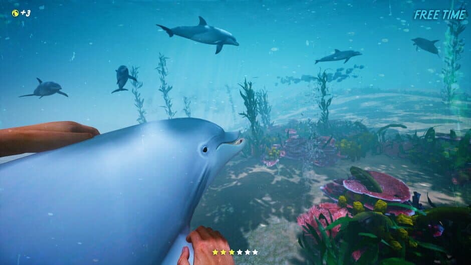 Скриншот 1 из Dolphin Trainer VR