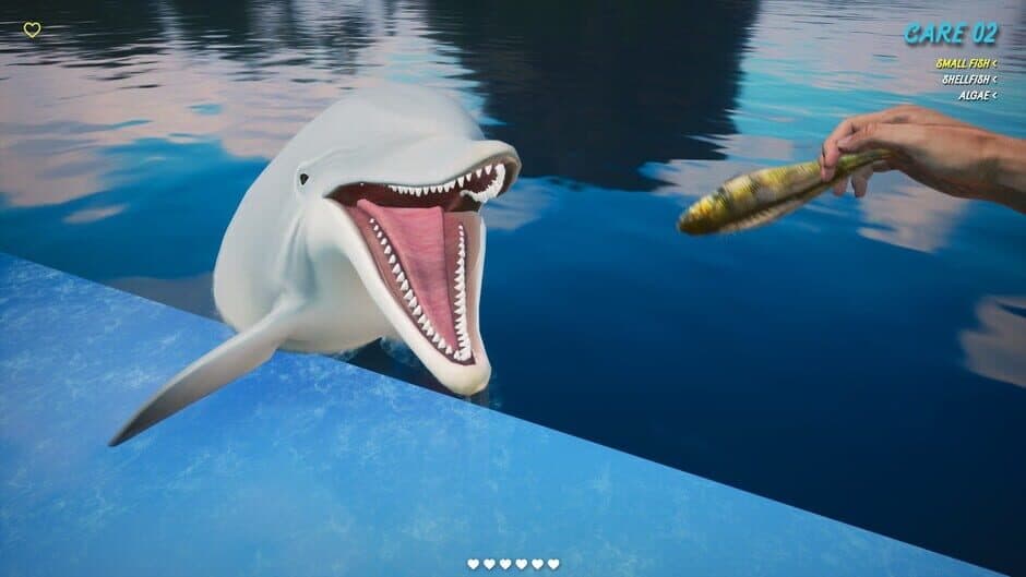 Скриншот 5 из Dolphin Trainer VR