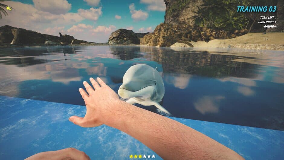 Скриншот 8 из Dolphin Trainer VR